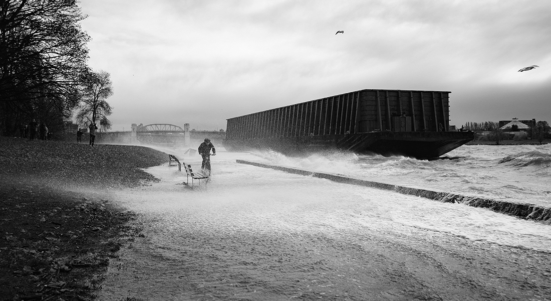 Flooded canal and man on bike cycling through water. Photo: Colby Winfield, Unsplash