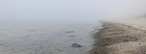 Foggy beach