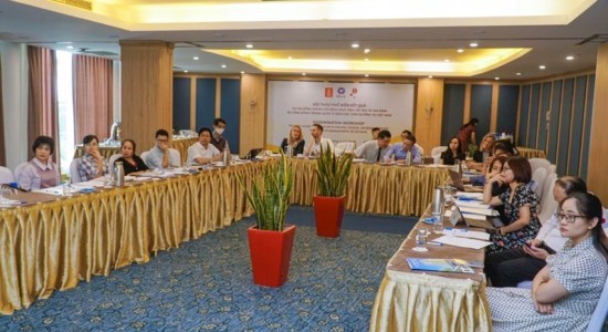 Stakeholder workshops in Thai Binh and Hanoi