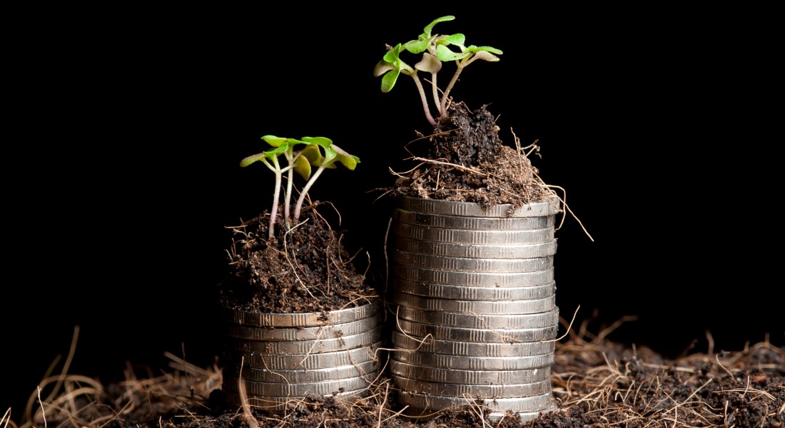 Sprout and coins. Photo: Colourbox